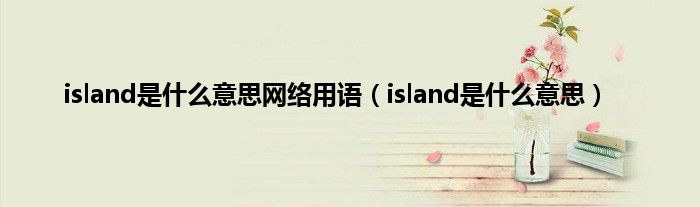 island是是什么意思网络用语（island是是什么意思）