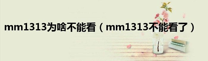 mm1313为啥不能看（mm1313不能看了）