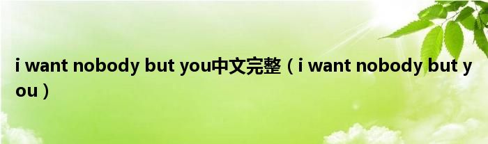 i want nobody but you中文完整（i want nobody but you）