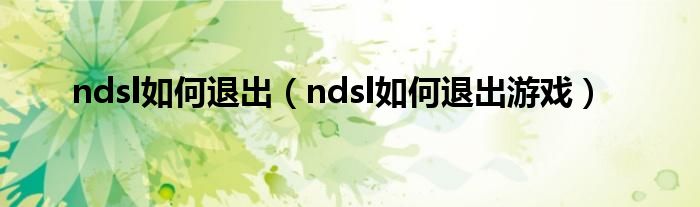 ndsl如何退出（ndsl如何退出游戏）