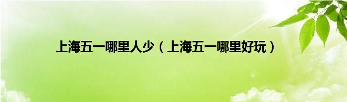 上海五一哪里人少（上海五一哪里好玩）