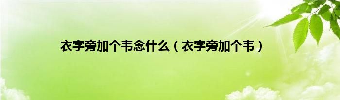 衣字旁加个韦念是什么（衣字旁加个韦）