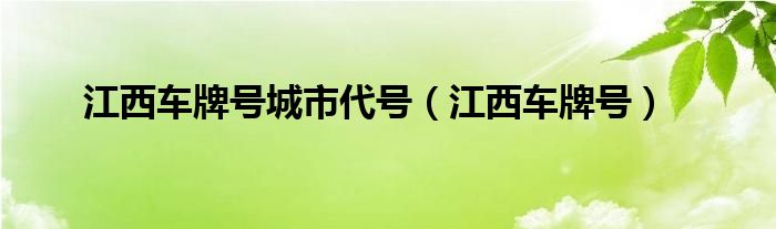 江西车牌号城市代号（江西车牌号）