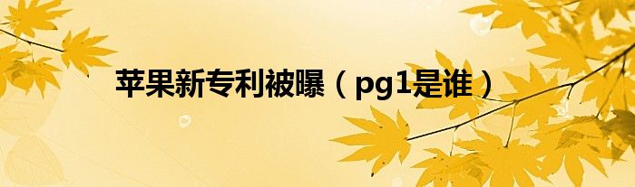 苹果新专利被曝（pg1是谁）