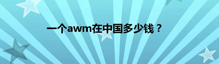 一个awm在中国多少钱？