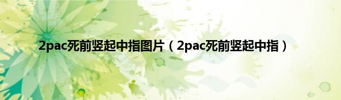 2pac死前竖起中指图片（2pac死前竖起中指）