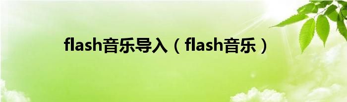 flash音乐导入（flash音乐）