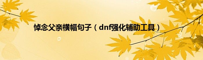 悼念父亲横幅句子（dnf强化辅助工具）