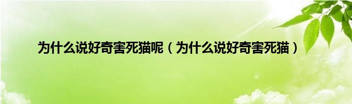 为是什么说好奇害死猫呢（为是什么说好奇害死猫）