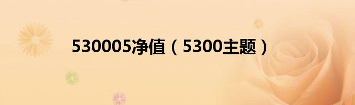 530005净值（5300主题）