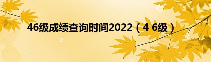 46级成绩查询时间2022（4 6级）