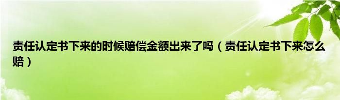 责任认定书下来的时候赔偿金额出来了吗（责任认定书下来怎么赔）