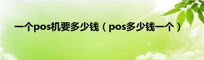 一个pos机要多少钱（pos多少钱一个）