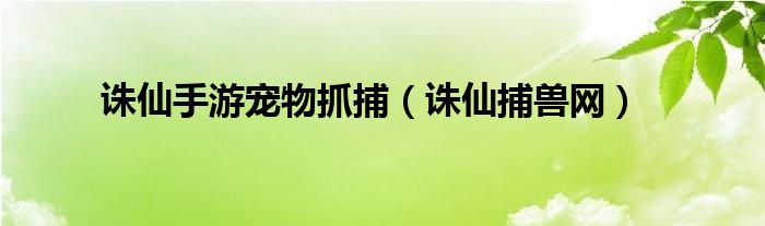 诛仙手游宠物抓捕（诛仙捕兽网）