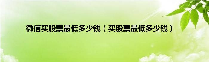 微信买股票最低多少钱（买股票最低多少钱）