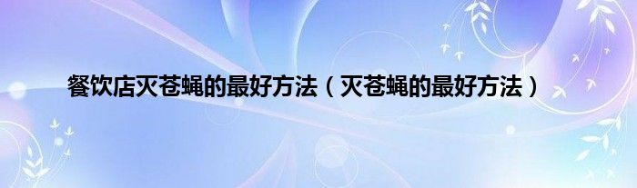 餐饮店灭苍蝇的最好方法（灭苍蝇的最好方法）