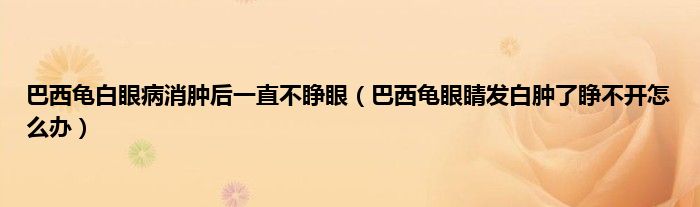 巴西龟白眼病消肿后一直不睁眼（巴西龟眼睛发白肿了睁不开怎么办）