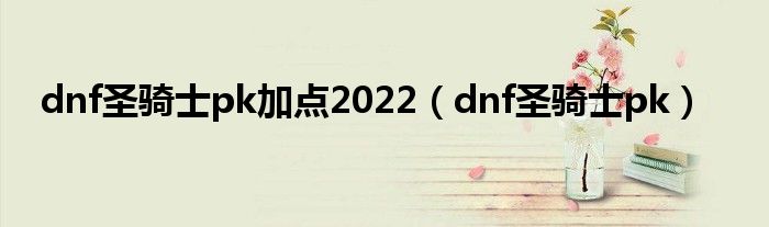 dnf圣骑士pk加点2022（dnf圣骑士pk）