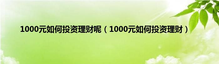 1000元如何投资理财呢（1000元如何投资理财）