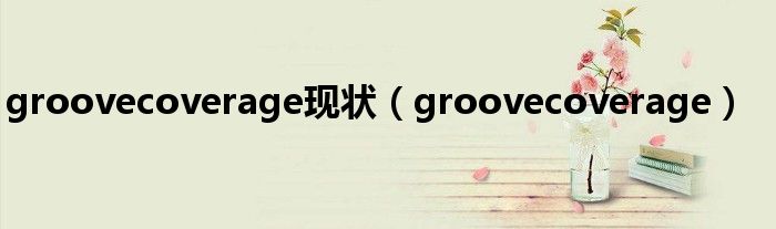 groovecoverage现状（groovecoverage）