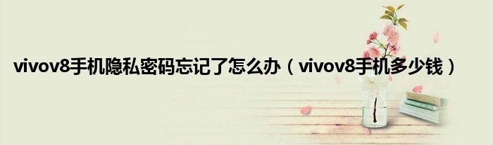 vivov8手机隐私密码忘记了怎么办（vivov8手机多少钱）