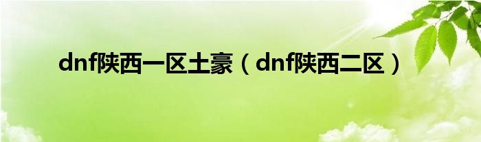 dnf陕西一区土豪（dnf陕西二区）