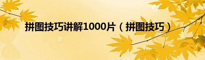 拼图技巧讲解1000片（拼图技巧）