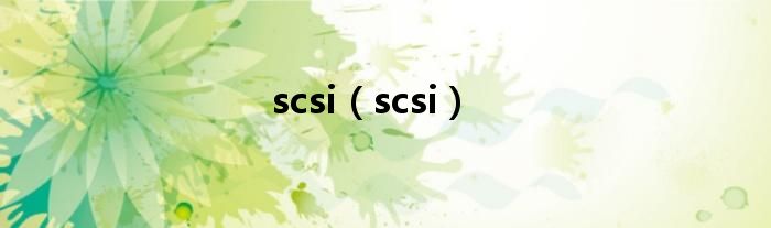 scsi（scsi）