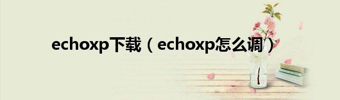 echoxp下载（echoxp怎么调）