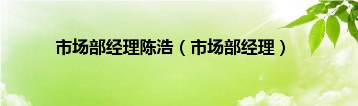 市场部经理陈浩（市场部经理）