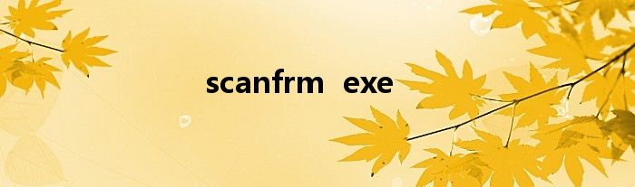 scanfrm  exe