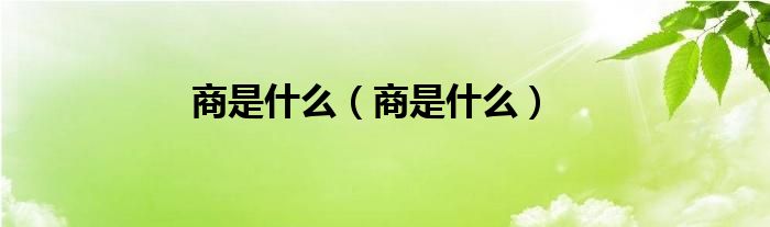 商是是什么（商是是什么）