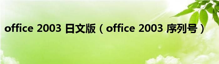 office 2003 日文版（office 2003 序列号）