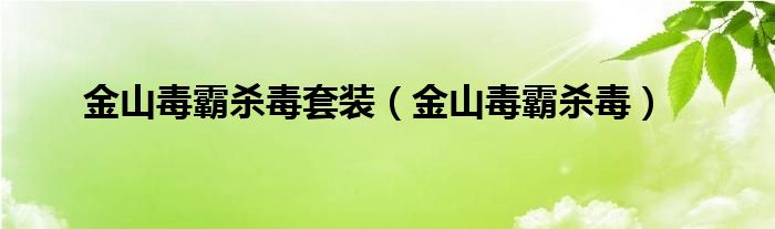 金山毒霸杀毒套装（金山毒霸杀毒）