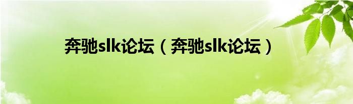 奔驰slk论坛（奔驰slk论坛）