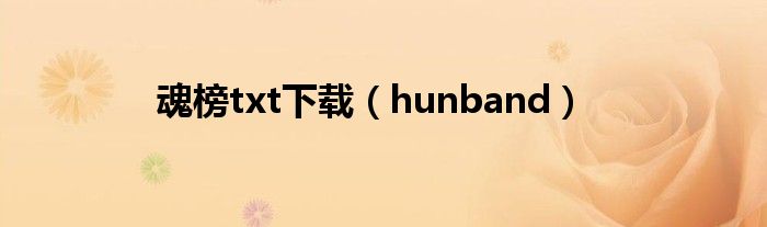 魂榜txt下载（hunband）