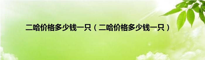 二哈价格多少钱一只（二哈价格多少钱一只）