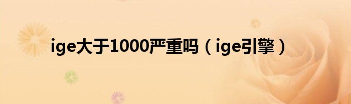 ige大于1000严重吗（ige引擎）