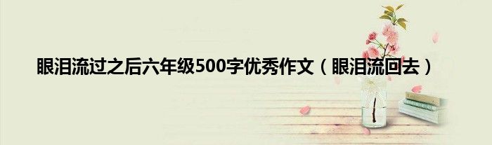 眼泪流过之后六年级500字优秀作文（眼泪流回去）