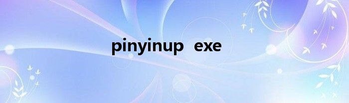 pinyinup  exe