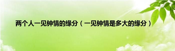 两个人一见钟情的缘分（一见钟情是多大的缘分）