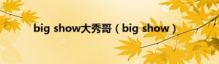 big show大秀哥（big show）