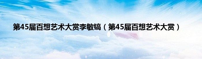 第45届百想艺术大赏李敏镐（第45届百想艺术大赏）