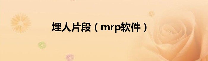 埋人片段（mrp软件）