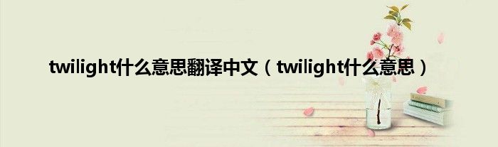 twilight是什么意思翻译中文（twilight是什么意思）