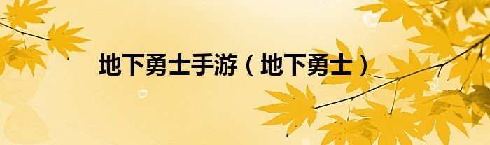 地下勇士手游（地下勇士）