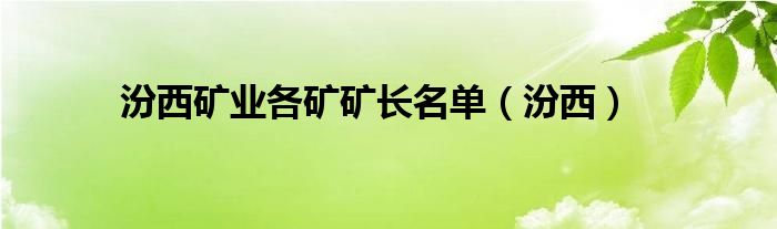 汾西矿业各矿矿长名单（汾西）