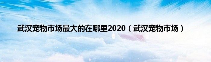 武汉宠物市场最大的在哪里2020（武汉宠物市场）