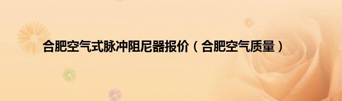 合肥空气式脉冲阻尼器报价（合肥空气质量）