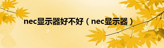 nec显示器好不好（nec显示器）